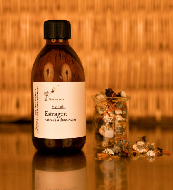 Hydrolat d'Estragon