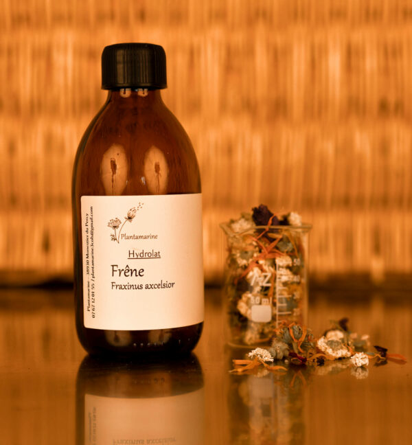 Hydrolat de Frêne