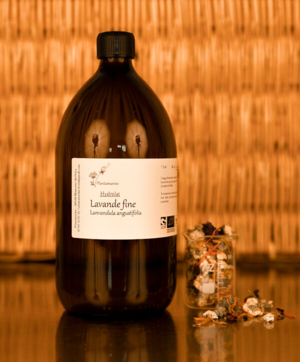 Hydrolat de lavande fine – Image 2