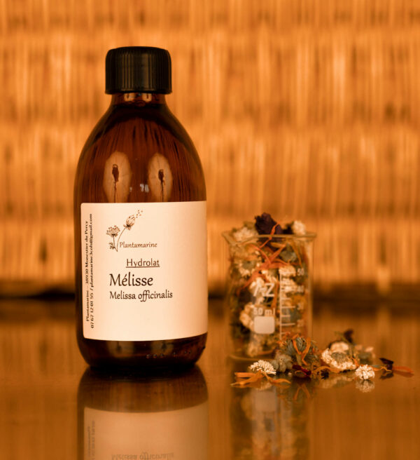 Hydrolat de Mélisse