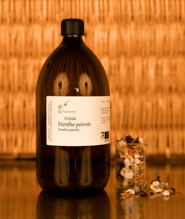 Hydrolat de Menthe Poivrée – Image 2
