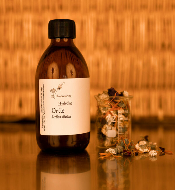 Hydrolat d'Ortie